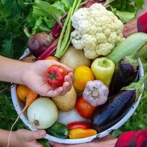 Distribución de Semillas